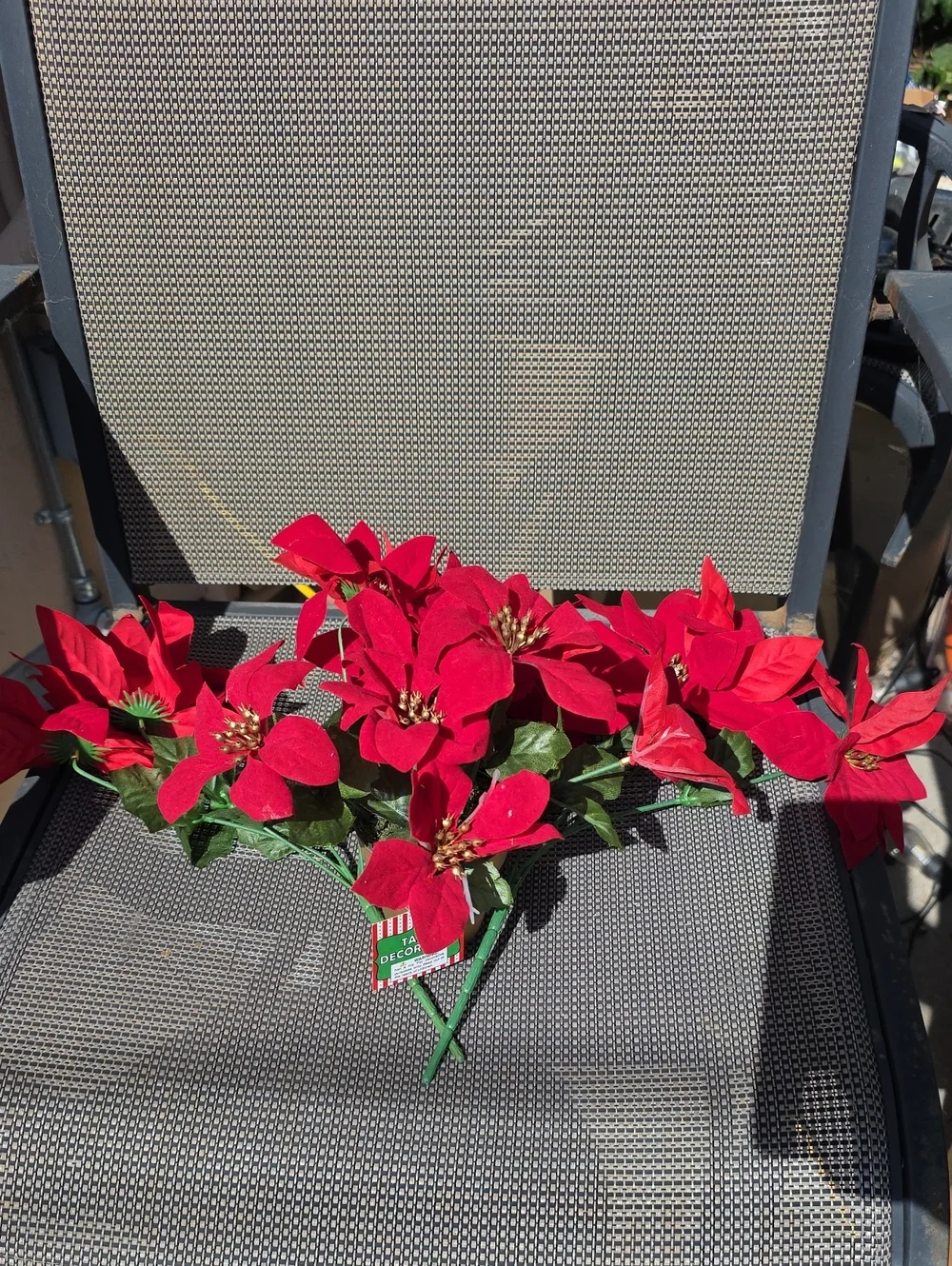 Holiday Poinsettia Stems And Small potted Plant - Christmas Décor